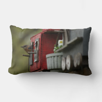 Bluebird en la almohada del Birdhouse