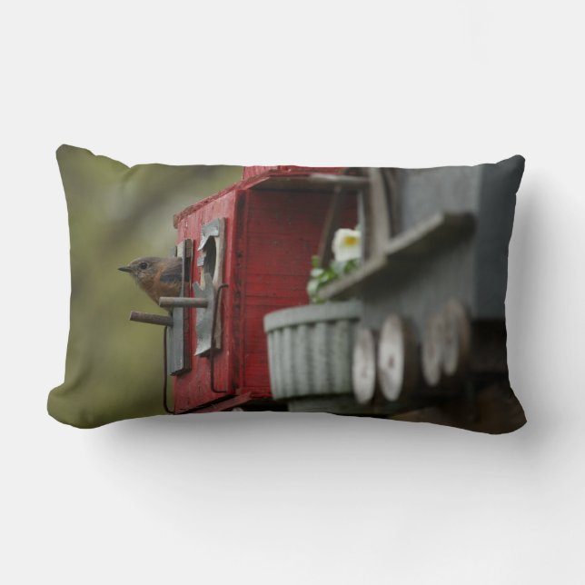 Bluebird en la almohada del Birdhouse (Anverso)