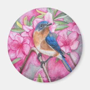 Bluebird entre el IMÁN de las azaleas