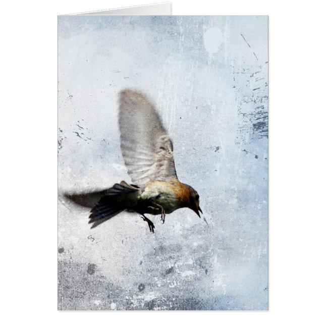 Bluebird Grunge (Frente)