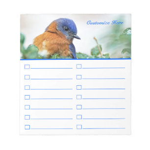 Bluebird para hacer la libreta de la lista o de la