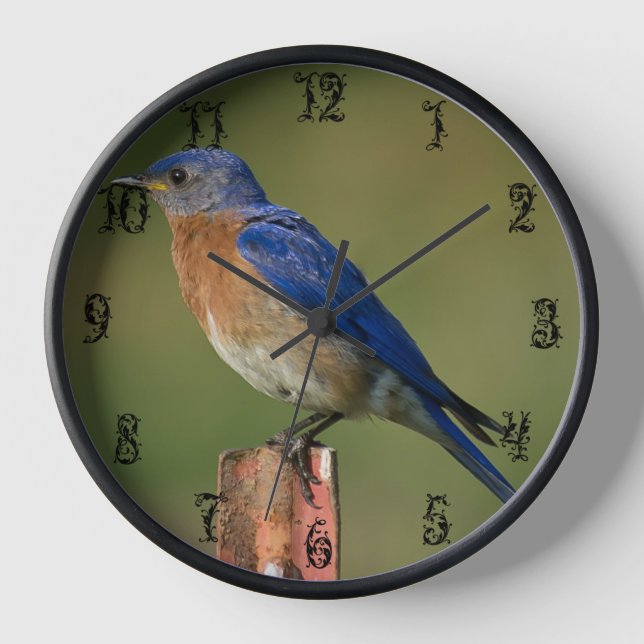BLUEBIRD SOBRE UN RELOJ DE CONEXIÓN C (Anverso)
