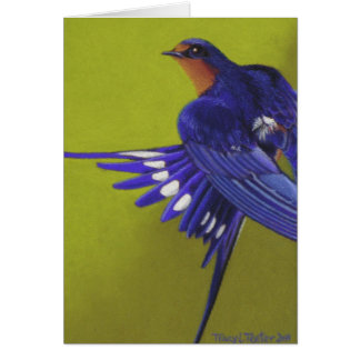 Bluebird, trago de granero