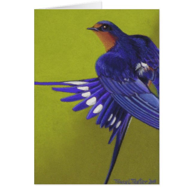 Bluebird, trago de granero (Frente)