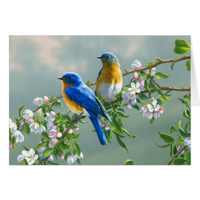 Bluebirds (Anverso (Horizontal))