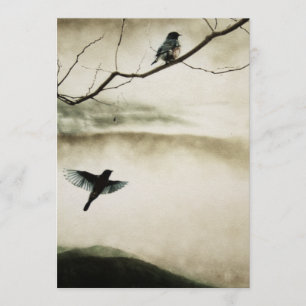 Bluebirds en la invitación del amor