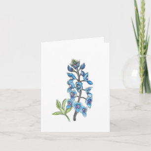 Bluebonnet en línea y lavado 1 de 4 en blanco