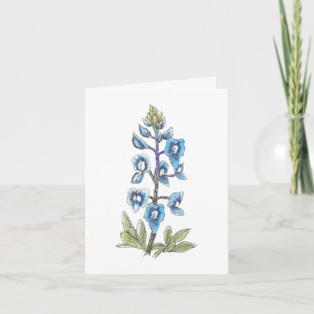 Bluebonnet en línea y lavado 3 de 4 en blanco (Anverso)