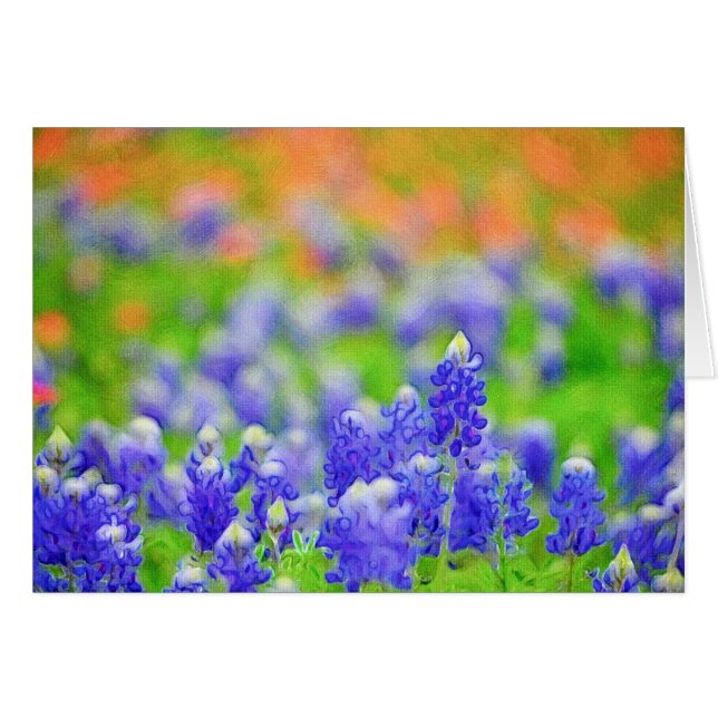 Bluebonnet en lona (Anverso (Horizontal))
