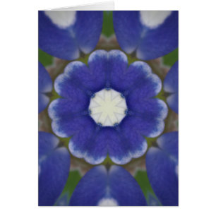 Bluebonnet Petal Kaleidoscope