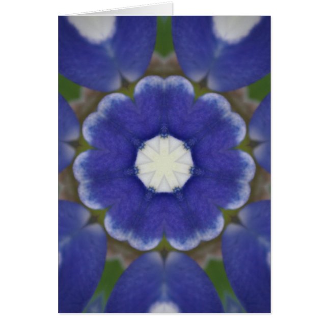 Bluebonnet Petal Kaleidoscope (Frente)