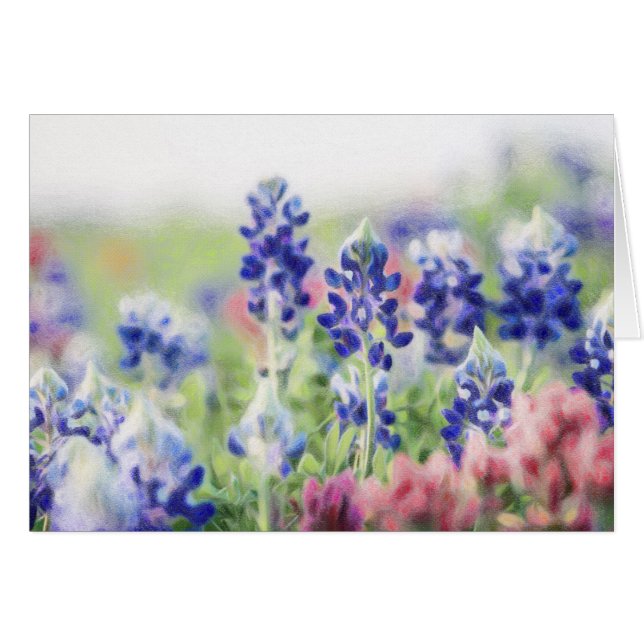 Bluebonnets en colores pastel (Anverso (Horizontal))