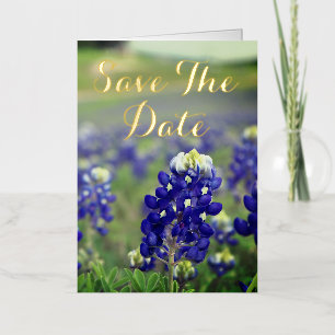 Bluebonnets Flores Azules Boda Floral Texas