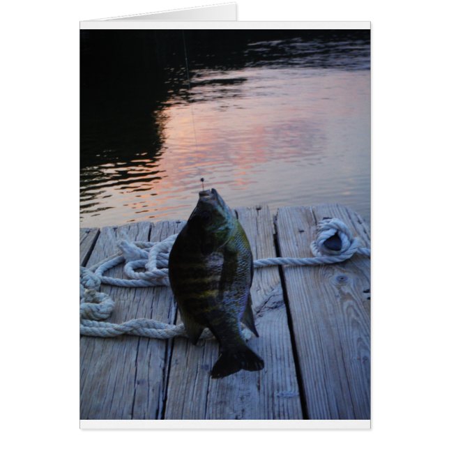 Bluegill al atardecer Lago Arrowhead (Frente)