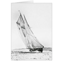 Bluenose cruza la línea