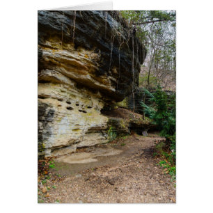 Bluff Lined Walkway