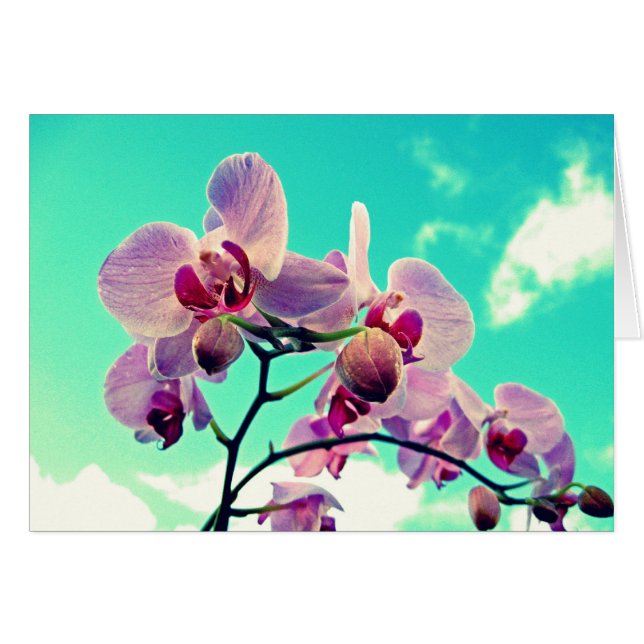 Blumen (Anverso (Horizontal))