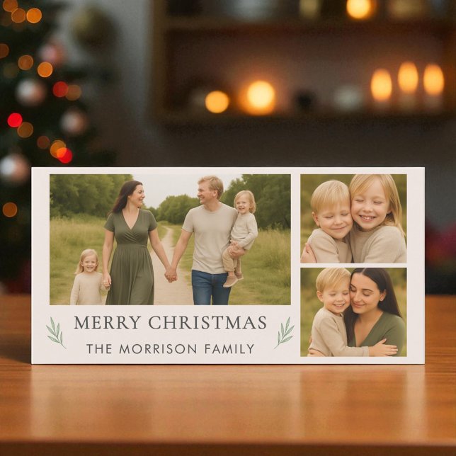 Blush Rosa Feliz Navidad 3 Foto Botánico (Subido por el creador)