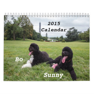 BO 2015 y calendario soleado