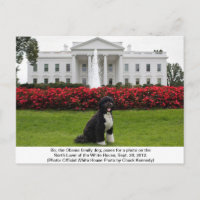 Bo- La postal del perro de la familia Obama