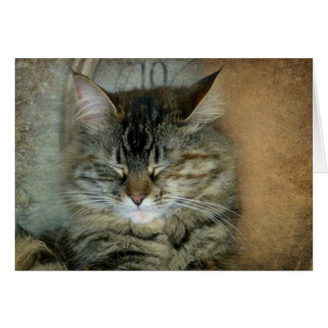 Bob (Anverso (Horizontal))