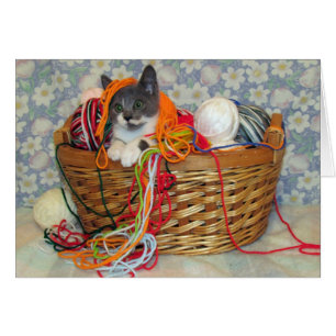 Bob Spinn'in una tarjeta del hilado