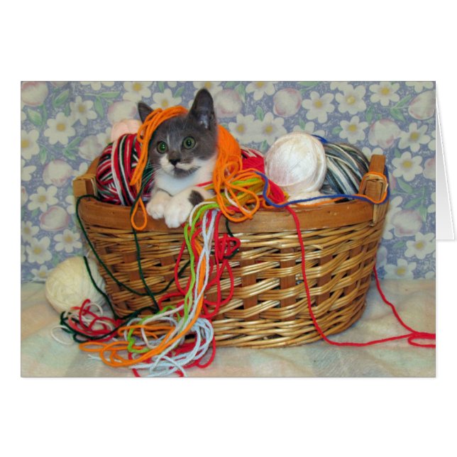 Bob Spinn'in una tarjeta del hilado (Anverso (Horizontal))