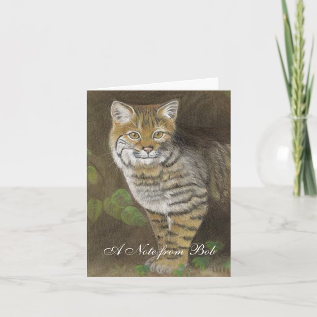 Bobcat (Anverso)
