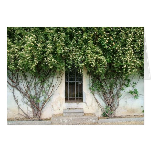 Boboli Gardens (Anverso (Horizontal))