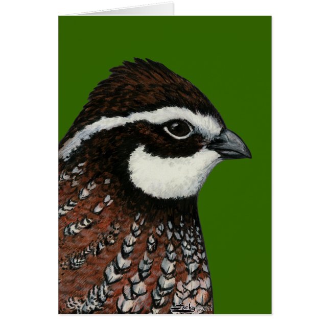 Bobwhite Quail Head (Frente)