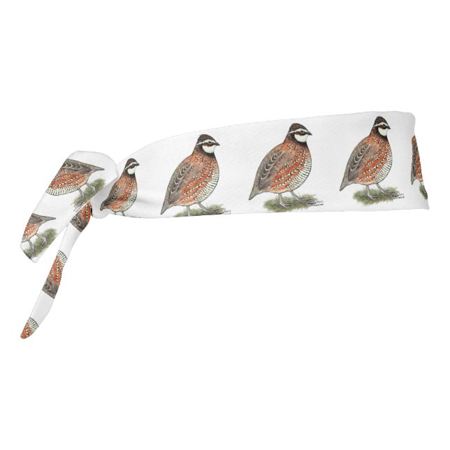 Bobwhite Quail Rooster (Girar 270)