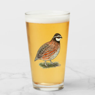 Bobwhite Quail Rooster