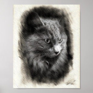 Boceto de gato gris esponjoso - Arte de retrato fe