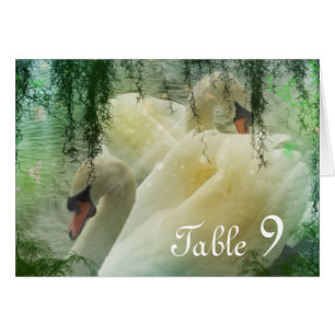 boda de cisne blanco del lago de verano elegante