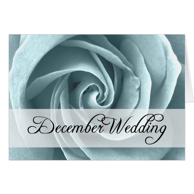 Boda de diciembre : rosa de temporada : (Anverso (Horizontal))