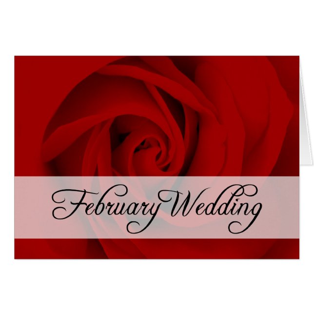 Boda de febrero : rosa de temporada : (Anverso (Horizontal))