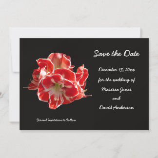 Boda de Invierno Guardar la Invitación de Fecha