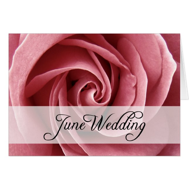Boda de junio : rosa de temporada : (Anverso (Horizontal))