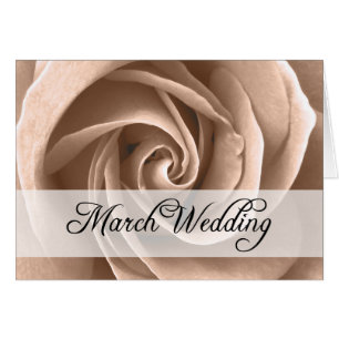 Boda de marzo : rosa de temporada :