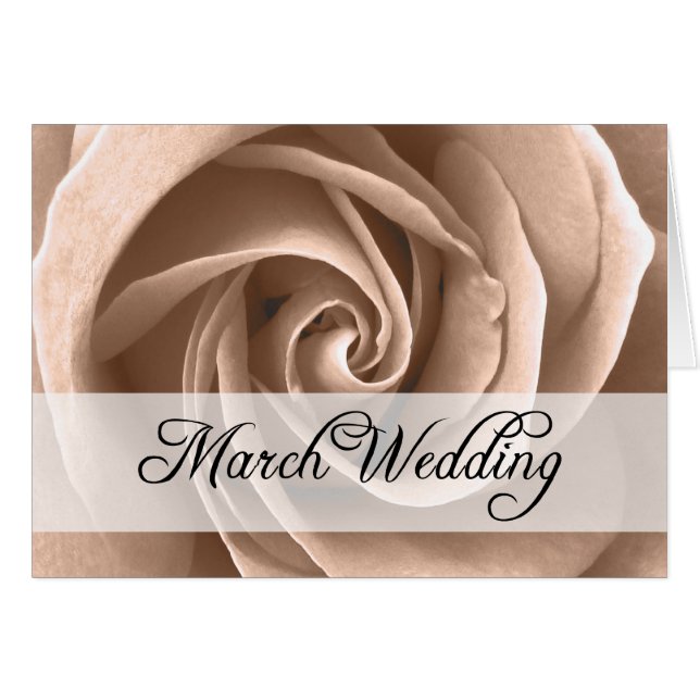 Boda de marzo : rosa de temporada : (Anverso (Horizontal))