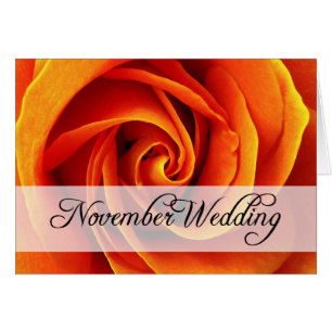 Boda de noviembre : rosa de temporada :