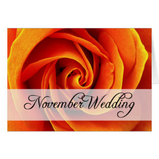 Boda de noviembre : rosa de temporada :