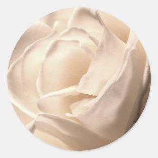 Boda De Rosa Blanca Y Sello para sobres De Eventos