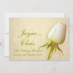 Boda de rosa blanco gran invitación al paisaje