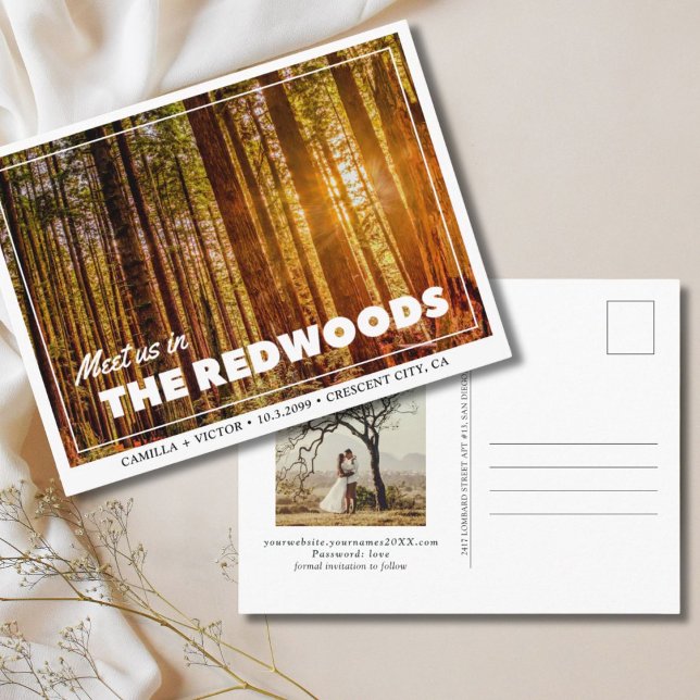 Boda de secuoyas la tarjeta postal de fecha (redwoods national park wedding save the date)
