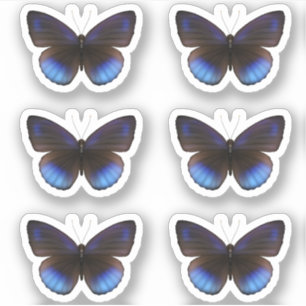 Boda del paquete de Pegatinas de mariposa azul y n