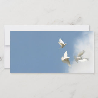 Boda Doves