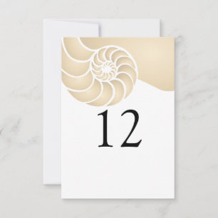 Boda en la playa con concha de nautilus beige