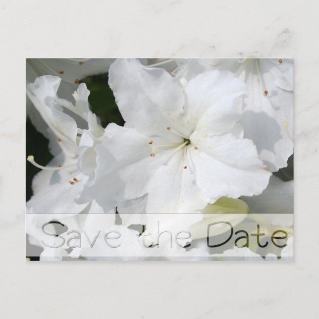 Boda floral de Azaleas Salven la tarjeta postal 2 (Anverso)