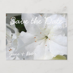 Boda floral de Azaleas Salven la tarjeta postal 4